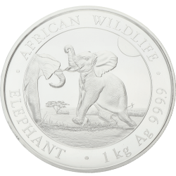 Éléphant somalien 1 kg argent 2024