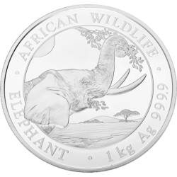 Achetez l’éléphant somalien African Wildlife en argent au Comptoir de l’Or