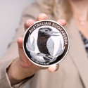 Achetez la Kookaburra en argent 1 kilo au Comptoir de l’Or