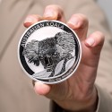 Achetez en argent 10 OZ au Comptoir de l’Or